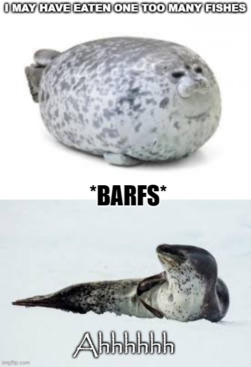 1 to many fish | I MAY HAVE EATEN ONE TOO MANY FISHES; *BARFS*; Ahhhhhh | image tagged in seal,fish,barf | made w/ Imgflip meme maker