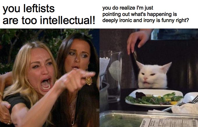 Woman Yelling At Cat | you leftists are too intellectual! you do realize I'm just pointing out what's happening is deeply ironic and irony is funny right? | image tagged in memes,woman yelling at cat | made w/ Imgflip meme maker