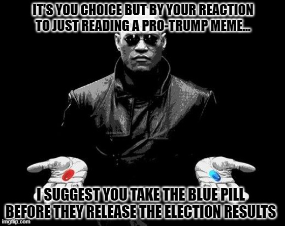 Helping those who can't handle pro-Trumps memes | IT'S YOU CHOICE BUT BY YOUR REACTION TO JUST READING A PRO-TRUMP MEME... I SUGGEST YOU TAKE THE BLUE PILL BEFORE THEY RELEASE THE ELECTION RESULTS | image tagged in matrix morpheus offer,election 2020,donald trump approves,liberals vs conservatives,biden,oh no | made w/ Imgflip meme maker