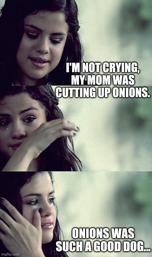onions redo | I'M NOT CRYING, MY MOM WAS CUTTING UP ONIONS. ONIONS WAS SUCH A GOOD DOG... | image tagged in selena gomez crying | made w/ Imgflip meme maker