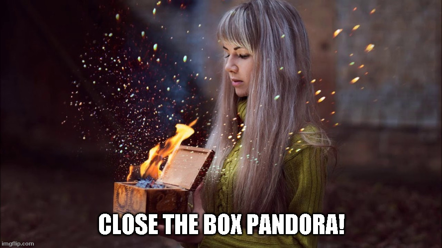 Close the Box Pandora | CLOSE THE BOX PANDORA! | image tagged in 2020,pandora | made w/ Imgflip meme maker