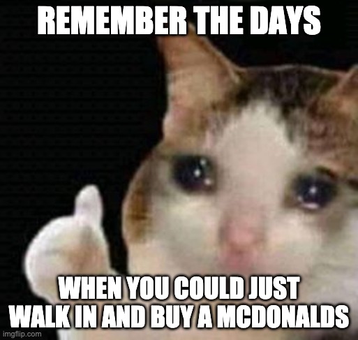 remember the days you could just buy Mcdonalds cat | REMEMBER THE DAYS; WHEN YOU COULD JUST WALK IN AND BUY A MCDONALDS | image tagged in sad thumbs up cat,remember,eating,mcdonalds | made w/ Imgflip meme maker