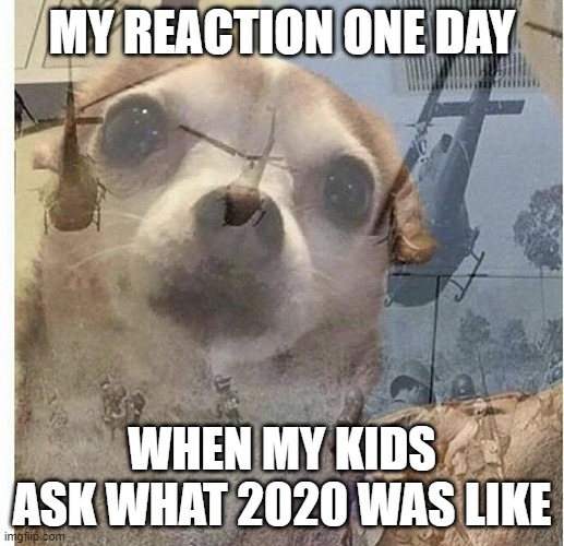 PTSD Chihuahua | MY REACTION ONE DAY; WHEN MY KIDS ASK WHAT 2020 WAS LIKE | image tagged in ptsd chihuahua,2020 | made w/ Imgflip meme maker