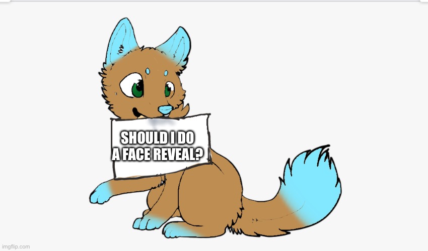 If so I will do it tomorrow | SHOULD I DO A FACE REVEAL? | image tagged in face reveal | made w/ Imgflip meme maker