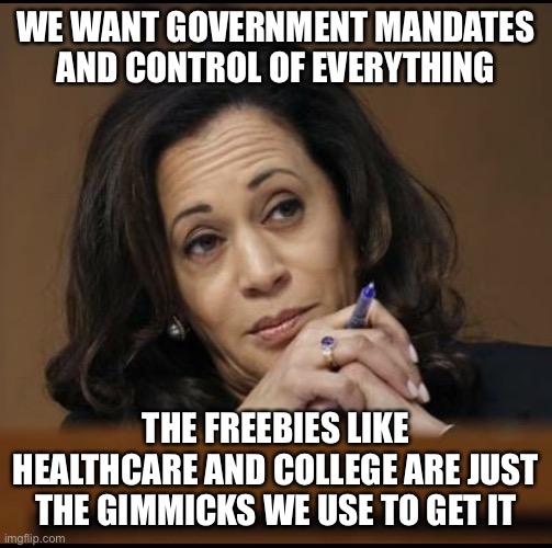 Kamala Harris  | WE WANT GOVERNMENT MANDATES AND CONTROL OF EVERYTHING; THE FREEBIES LIKE HEALTHCARE AND COLLEGE ARE JUST THE GIMMICKS WE USE TO GET IT | image tagged in kamala harris | made w/ Imgflip meme maker