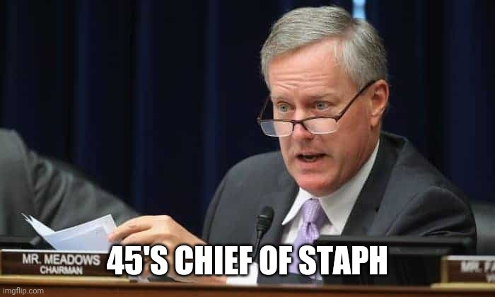 Mark Meadows | 45'S CHIEF OF STAPH | image tagged in mark meadows | made w/ Imgflip meme maker