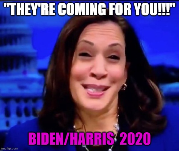 Kamala harria | "THEY'RE COMING FOR YOU!!!"; BIDEN/HARRIS  2020 | image tagged in kamala harria | made w/ Imgflip meme maker