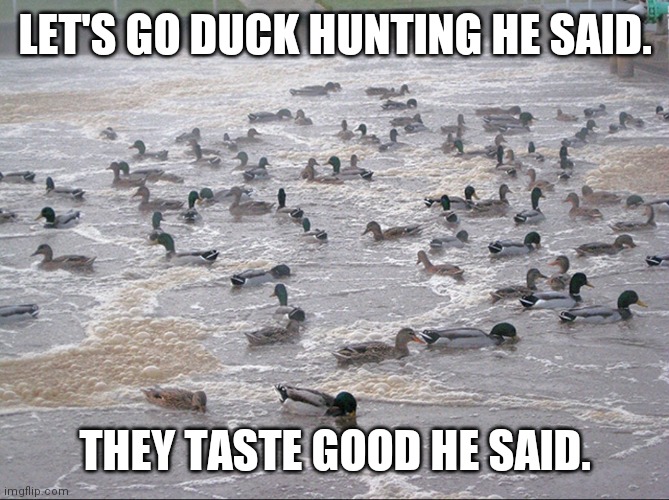 NO DUCK HUNTING | LET'S GO DUCK HUNTING HE SAID. THEY TASTE GOOD HE SAID. | image tagged in funny | made w/ Imgflip meme maker