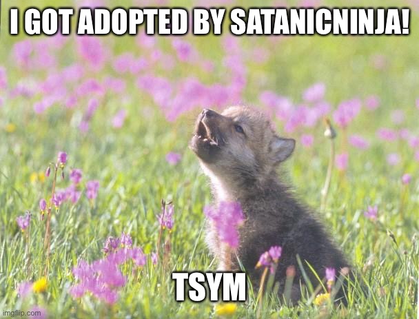 Baby Insanity Wolf | I GOT ADOPTED BY SATANICNINJA! TSYM | image tagged in memes,baby insanity wolf | made w/ Imgflip meme maker