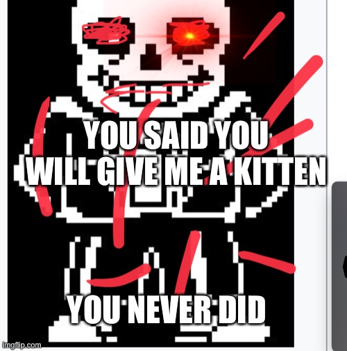 Sans want kitten | YOU SAID YOU WILL GIVE ME A KITTEN; YOU NEVER DID | image tagged in sans,lies,undertale | made w/ Imgflip meme maker
