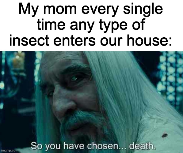 It do be like that tho | My mom every single time any type of insect enters our house: | image tagged in so you have chosen death | made w/ Imgflip meme maker