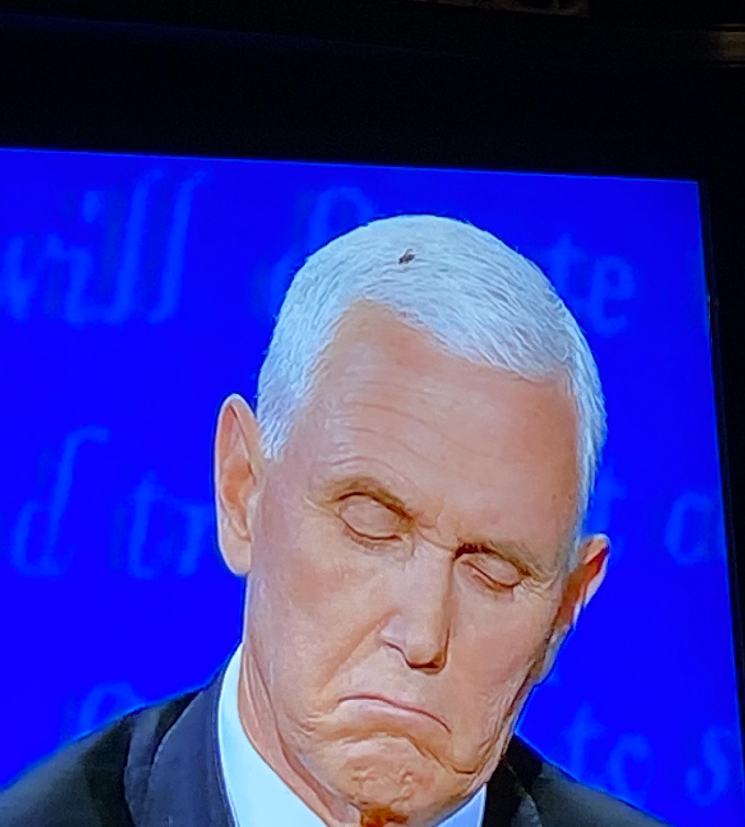 High Quality Fly on Mike pence head Blank Meme Template