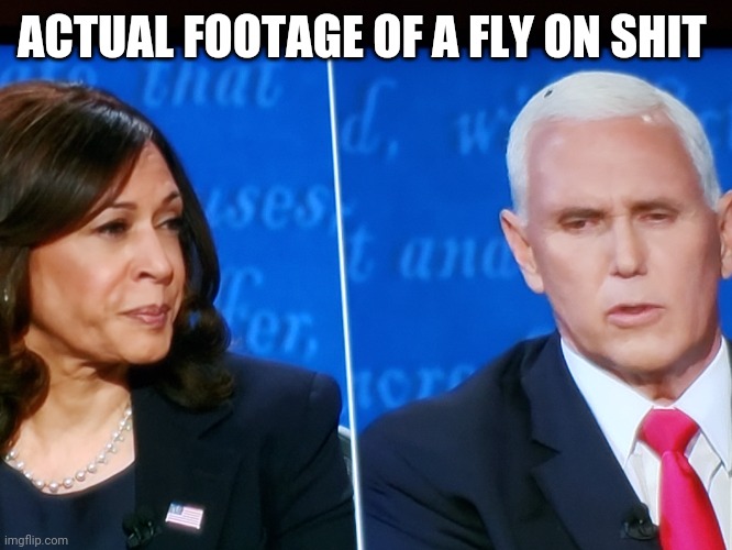 Fly on shit | ACTUAL FOOTAGE OF A FLY ON SHIT | image tagged in presidential debate,fly | made w/ Imgflip meme maker