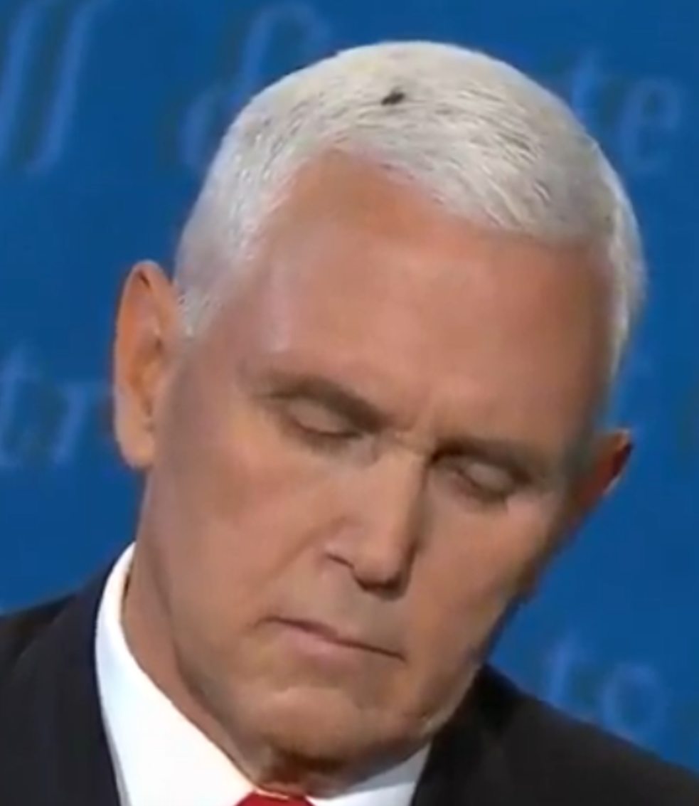 High Quality Pence and the Fly Blank Meme Template