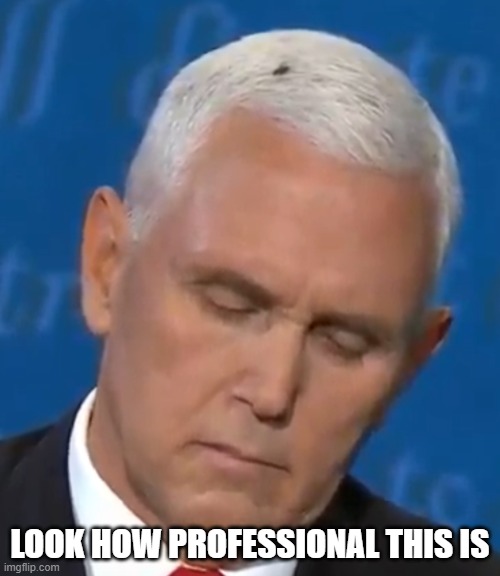 Pence and the Fly | LOOK HOW PROFESSIONAL THIS IS | image tagged in pence and the fly | made w/ Imgflip meme maker
