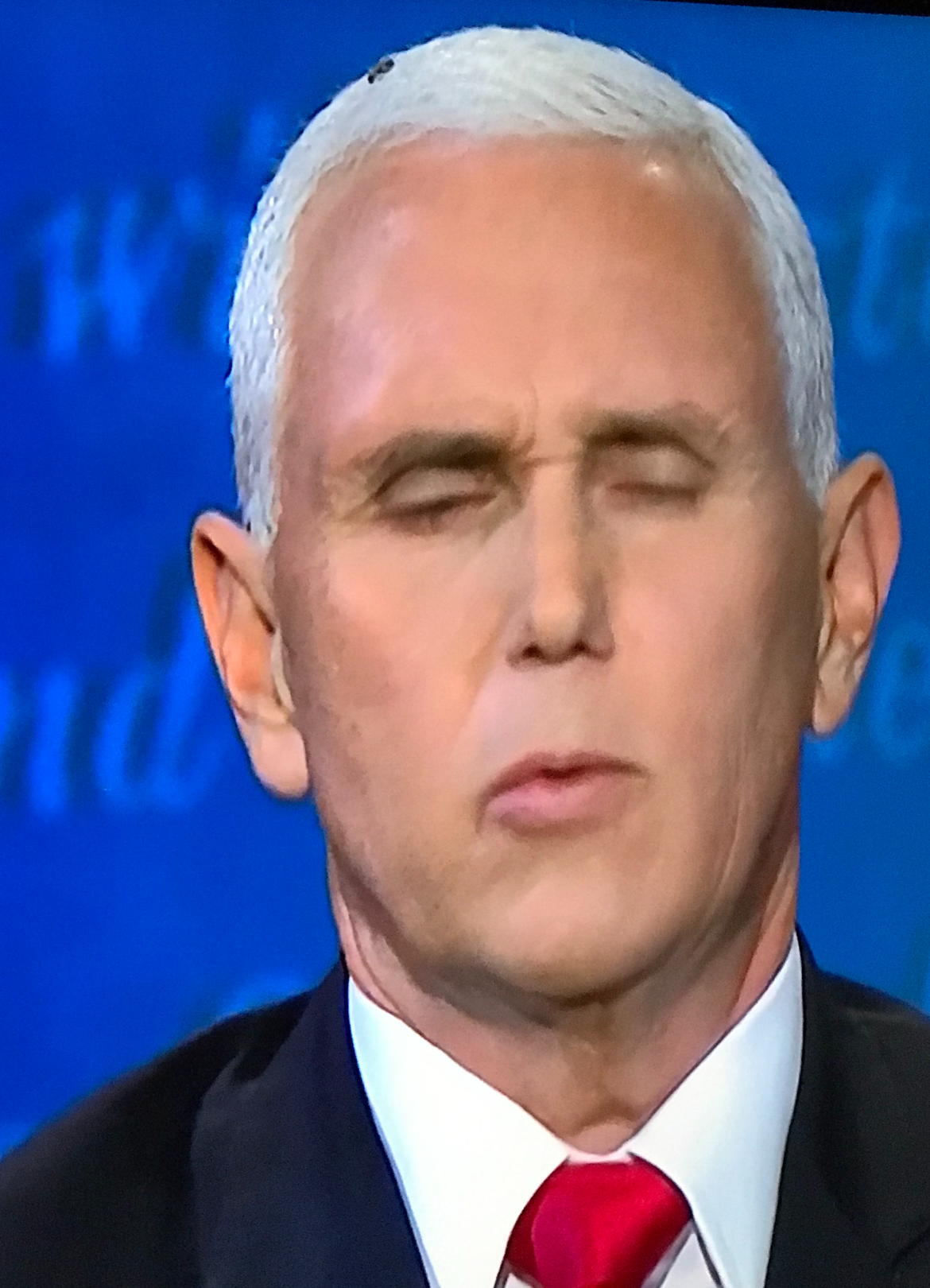 Pence with a Fly Blank Meme Template