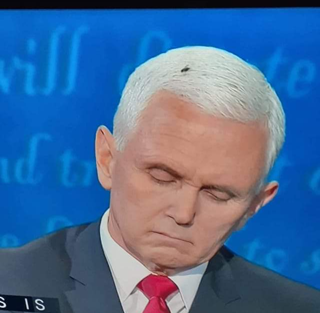 High Quality Pence fly Blank Meme Template