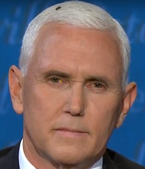 Pence Blank Meme Template