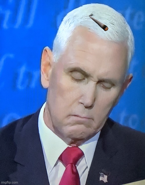 High on the fly | image tagged in mike pence | made w/ Imgflip meme maker