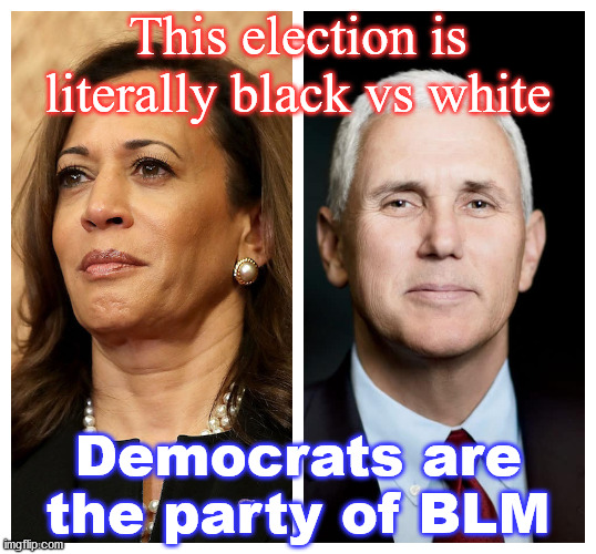 black and white | This election is literally black vs white; Democrats are the party of BLM | image tagged in blacks,whites | made w/ Imgflip meme maker