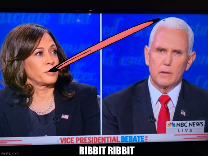 If you didn’t see the debate, this is what you missed | RIBBIT RIBBIT | image tagged in debate,kamala harris,mike pence,hungry,frog,fly | made w/ Imgflip meme maker