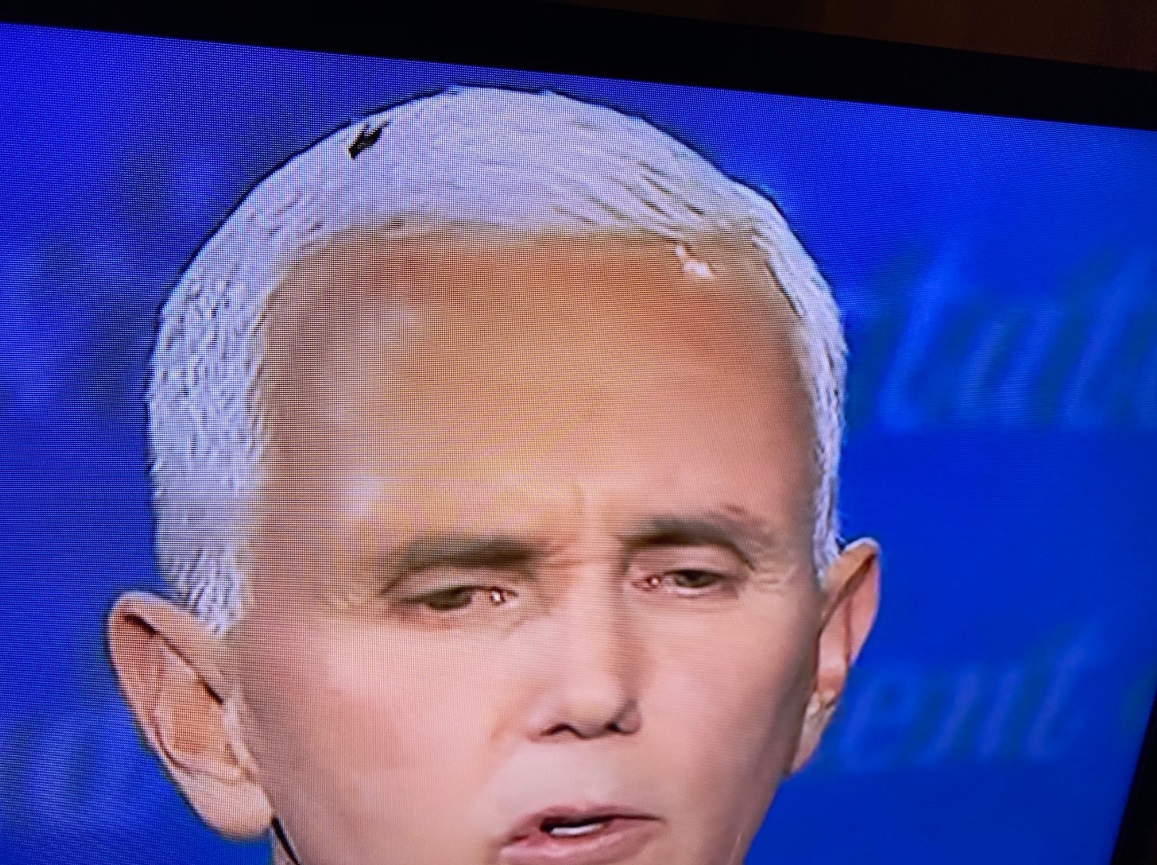 High Quality Debate Fly on Pence Head Blank Meme Template