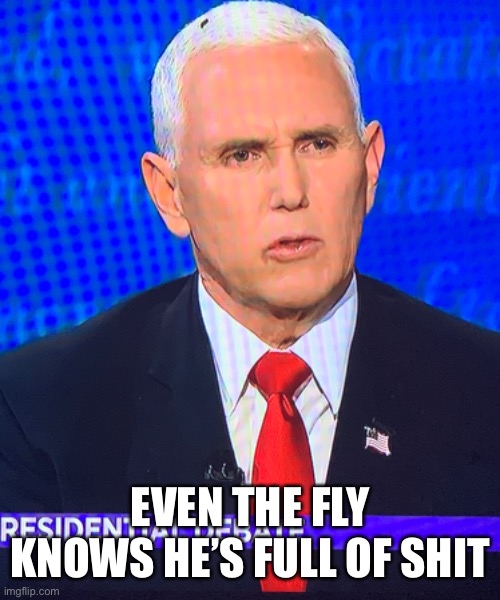 Fly attack Pence #flygate | EVEN THE FLY KNOWS HE’S FULL OF SHIT | image tagged in debate,mike pence,fly,vice president,kamala harris,vote | made w/ Imgflip meme maker