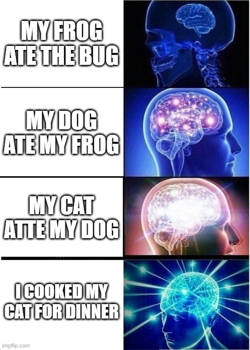 Expanding Brain | MY FROG ATE THE BUG; MY DOG ATE MY FROG; MY CAT ATTE MY DOG; I COOKED MY CAT FOR DINNER | image tagged in memes,expanding brain | made w/ Imgflip meme maker