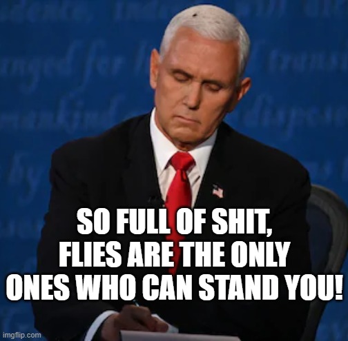FULL OF SHIT | SO FULL OF SHIT, FLIES ARE THE ONLY ONES WHO CAN STAND YOU! | image tagged in pence,full of shit,fly,smell,only friend,trump | made w/ Imgflip meme maker