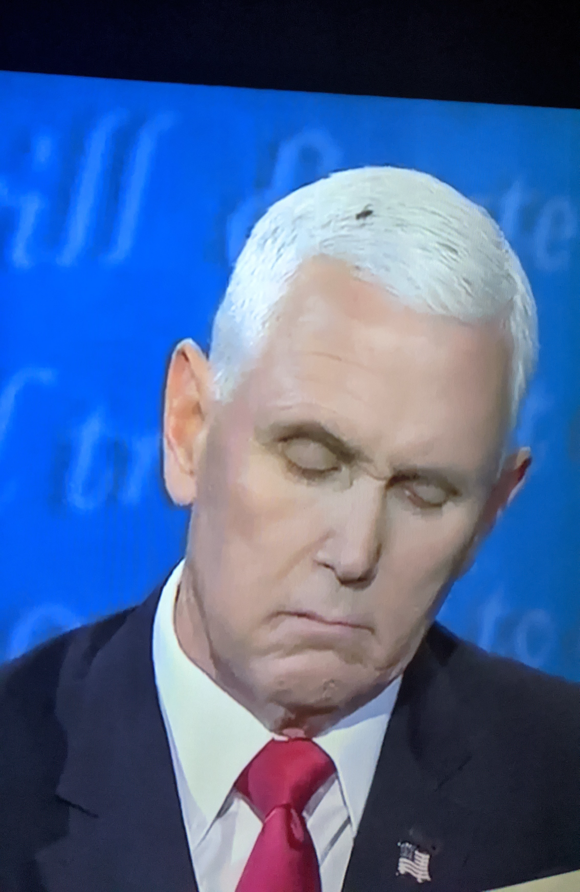 Pence is so fly Blank Meme Template