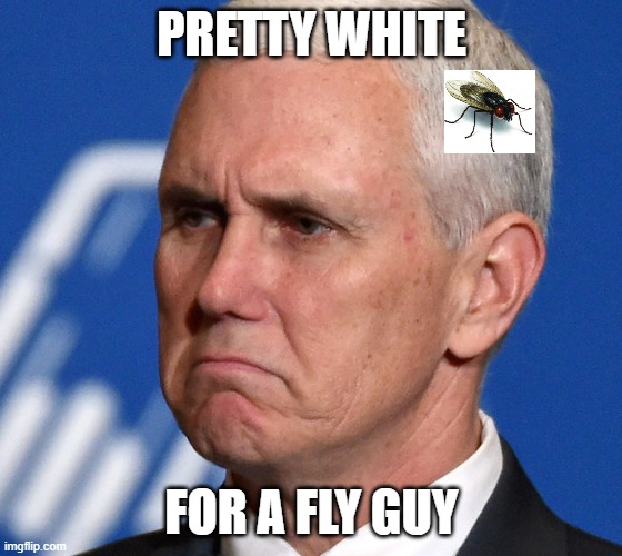 Pretty White for a Fly Guy | PRETTY WHITE; FOR A FLY GUY | image tagged in mike pence | made w/ Imgflip meme maker