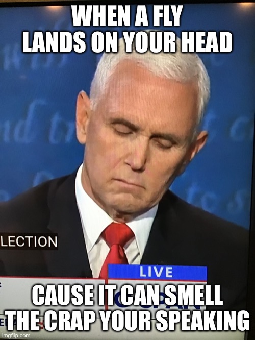 Crap detector | WHEN A FLY LANDS ON YOUR HEAD; CAUSE IT CAN SMELL THE CRAP YOUR SPEAKING | image tagged in mike pence vp | made w/ Imgflip meme maker
