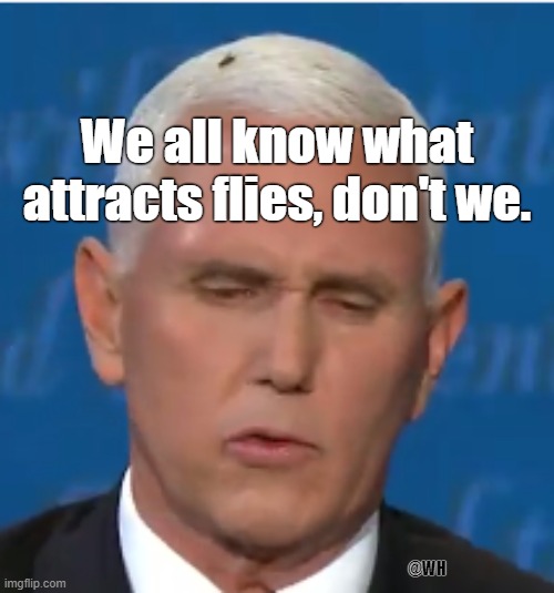 Shoo Fly | We all know what attracts flies, don't we. @WH | image tagged in pence,fly | made w/ Imgflip meme maker