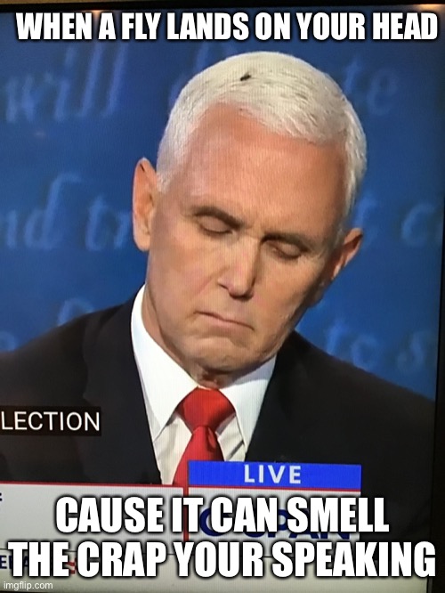 Crap detector | WHEN A FLY LANDS ON YOUR HEAD; CAUSE IT CAN SMELL THE CRAP YOUR SPEAKING | image tagged in mike pence | made w/ Imgflip meme maker