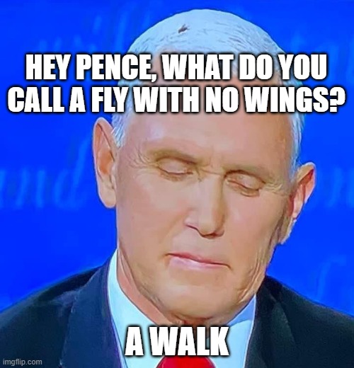 Pence fly | HEY PENCE, WHAT DO YOU CALL A FLY WITH NO WINGS? A WALK | image tagged in politics,bad puns,puns | made w/ Imgflip meme maker