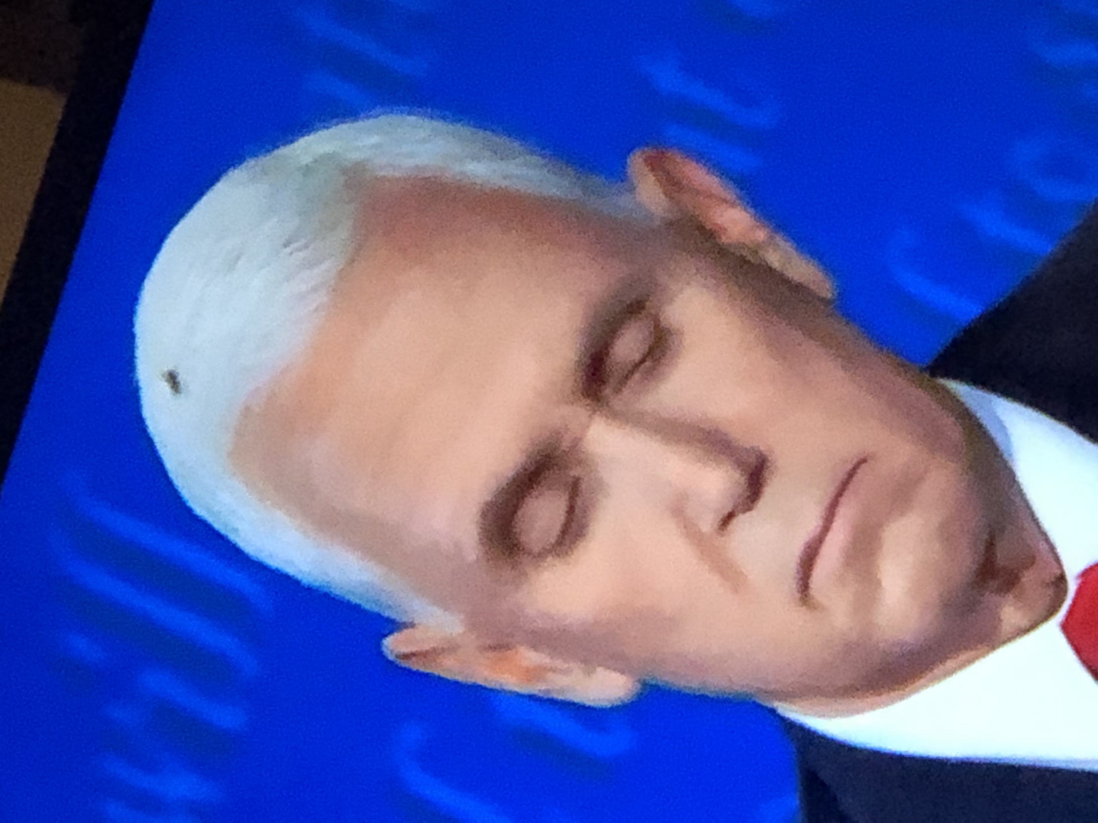 High Quality Fly in Pence’s Hair Debate 2020 Blank Meme Template