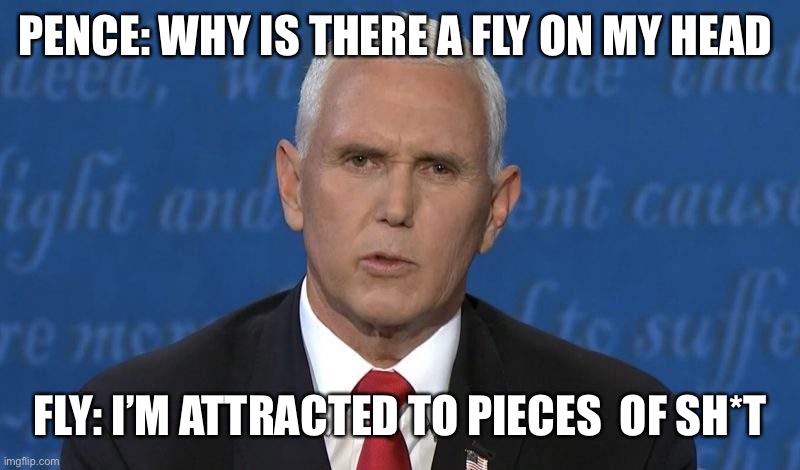 PENCE: WHY IS THERE A FLY ON MY HEAD; FLY: I’M ATTRACTED TO PIECES  OF SH*T | made w/ Imgflip meme maker