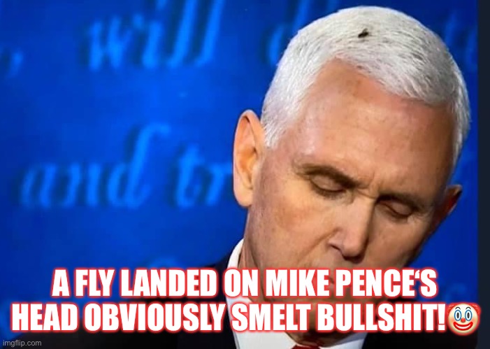Lying Mike Pence | A FLY LANDED ON MIKE PENCE‘S HEAD OBVIOUSLY SMELT BULLSHIT!🤡 | image tagged in mike pence,kamala harris,presidential debate,bullshit,scary clown,lying mike pence | made w/ Imgflip meme maker