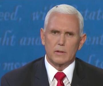 Pence fly on head Blank Meme Template