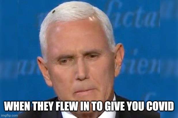 Pence gets covid | WHEN THEY FLEW IN TO GIVE YOU COVID | image tagged in funny,covid-19,covid19 | made w/ Imgflip meme maker