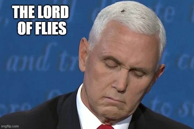 The Lord of Flies | THE LORD 
OF FLIES | image tagged in pence fly | made w/ Imgflip meme maker