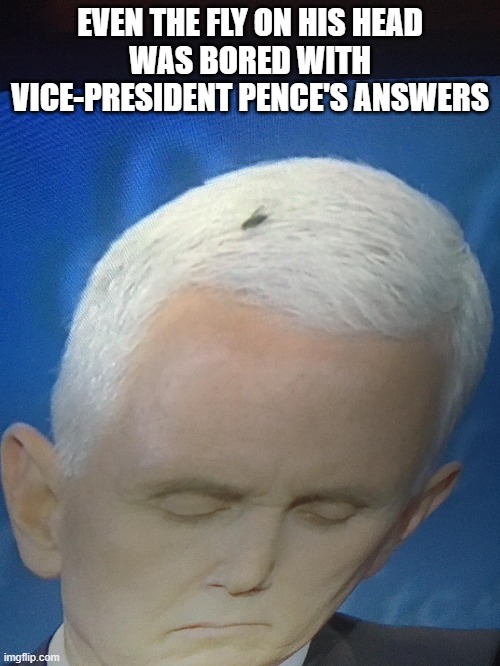 Wake me up when it's over | EVEN THE FLY ON HIS HEAD
WAS BORED WITH VICE-PRESIDENT PENCE'S ANSWERS | image tagged in presidential debate | made w/ Imgflip meme maker