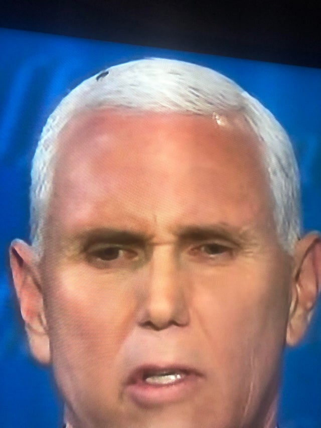 High Quality Pence Fly Blank Meme Template
