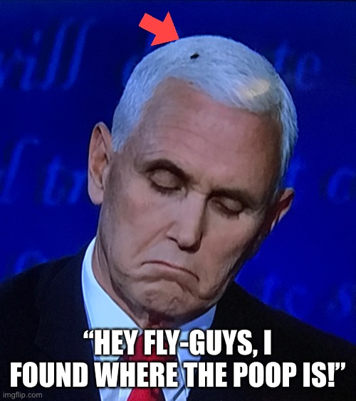 Pence and fly | “HEY FLY-GUYS, I FOUND WHERE THE POOP IS!” | image tagged in pence,fly,presidential debate | made w/ Imgflip meme maker