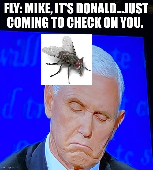 Fly on Mike pence head | FLY: MIKE, IT’S DONALD...JUST COMING TO CHECK ON YOU. | image tagged in fly on mike pence head | made w/ Imgflip meme maker