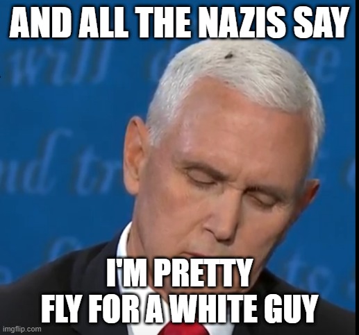 AND ALL THE NAZIS SAY; I'M PRETTY FLY FOR A WHITE GUY | made w/ Imgflip meme maker