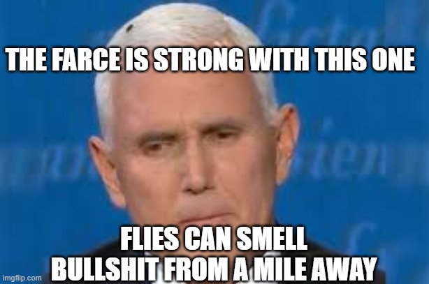 The farce is strong with this one | THE FARCE IS STRONG WITH THIS ONE; FLIES CAN SMELL BULLSHIT FROM A MILE AWAY | image tagged in bullshit,debate,2020,pence,fly,bug | made w/ Imgflip meme maker