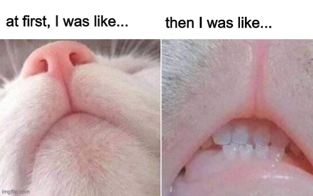 Teef | then I was like... at first, I was like... | image tagged in teef | made w/ Imgflip meme maker