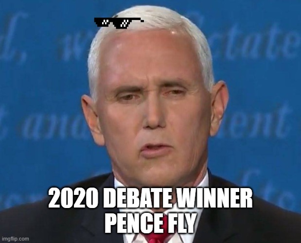 2020 winner | 2020 DEBATE WINNER
PENCE FLY | image tagged in politics,political meme,bad pun | made w/ Imgflip meme maker