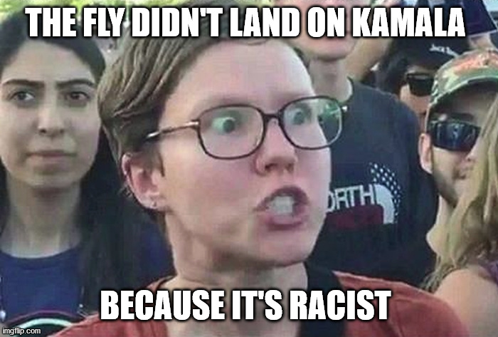 Triggered Liberal | THE FLY DIDN'T LAND ON KAMALA BECAUSE IT'S RACIST | image tagged in triggered liberal | made w/ Imgflip meme maker